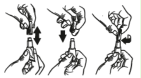 Image: import-4.jpg