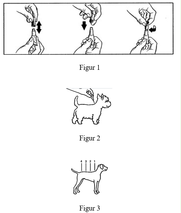 Image: import-5.jpg