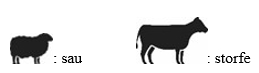 Image: import-1.jpg