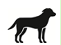 Image: import-1.jpg