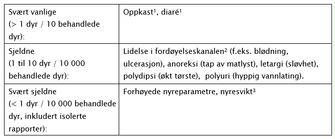 Image: import-1.jpg