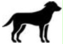 Image: import-1.jpg