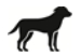 Image: import-1.jpg