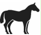 Image: import-1.jpg