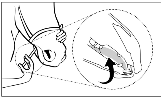 Image: import-3.jpg