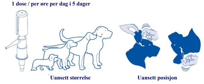 Image: import-1.jpg