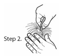 Image: import-3.jpg