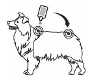 Image: import-5.jpg