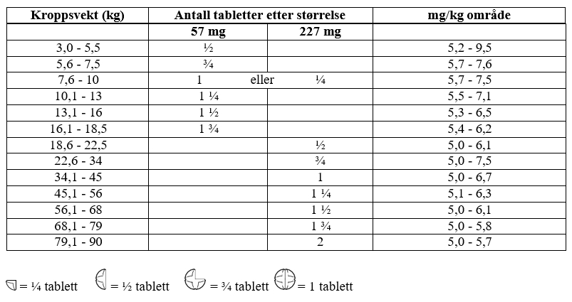 Et bilde som inneholder bordAutomatisk generert beskrivelse