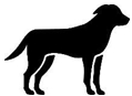 Et bilde som inneholder hund, silhuett, sketch, pattedyrKI-generert innhold kan være feil.