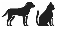 Image: import-1.jpg