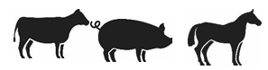 Image: import-1.jpg