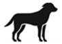 Et bilde som inneholder hund, sketch, silhuett, pattedyrKI-generert innhold kan være feil.