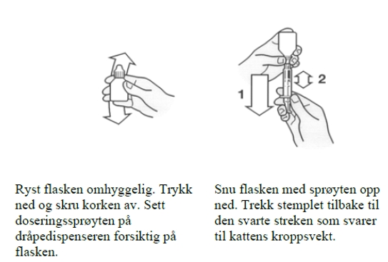Image: import-1.jpg