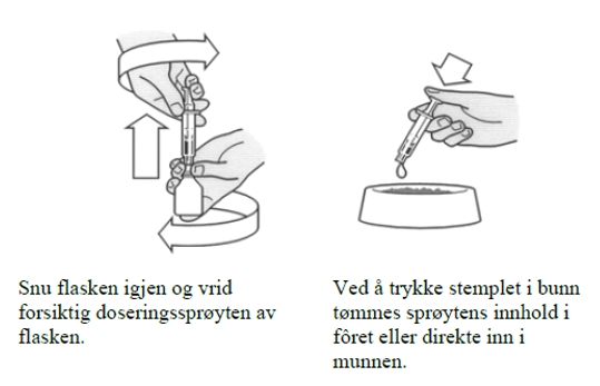 Image: import-2.jpg