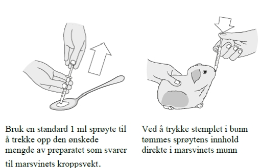 Image: import-4.jpg