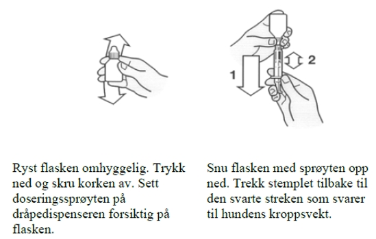 Image: import-1.jpg