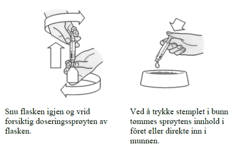 Image: import-2.jpg