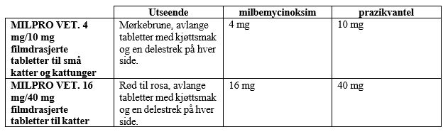 Image: import-1.jpg