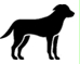 Image: import-1.jpg