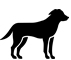 Image: import-1.jpg