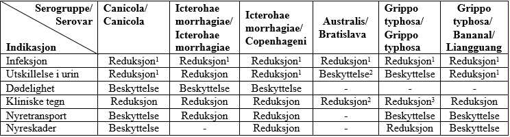 Image: import-2.jpg