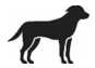 Image: import-1.jpg