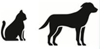 Image: import-1.jpg