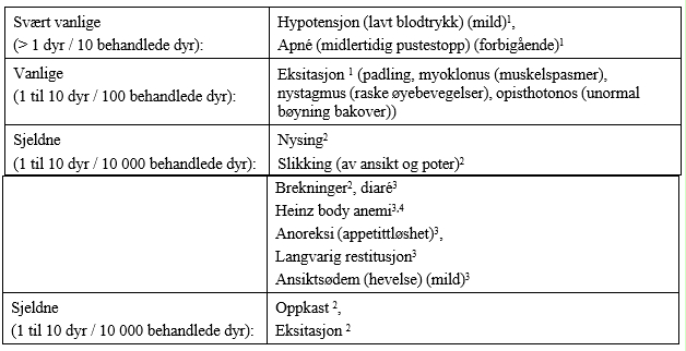 Image: import-2.jpg