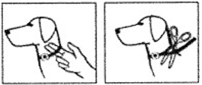 Image: import-1.jpg