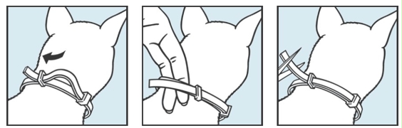 Image: import-1.jpg
