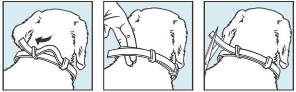 Image: import-1.jpg