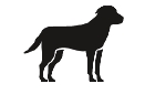 Image: import-1.jpg