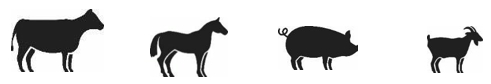 Image: import-1.jpg