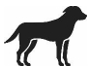 Image: import-1.jpg