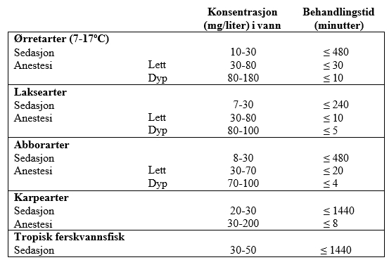Image: import-1.jpg
