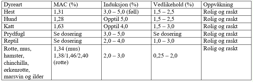 Image: import-1.jpg