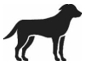 Image: import-1.jpg