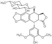 Etoposid